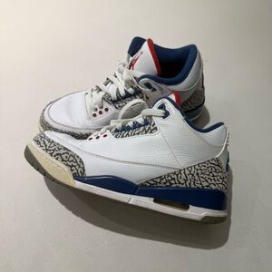 Air Jordan 3 Retro True Blue  White and Blue Sneakers with Elephant Print